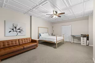 2869 Missouri Ave, Saint Louis, MO 63118 - Photo 18