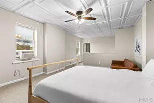 2869 Missouri Ave, Saint Louis, MO 63118 - Photo 22