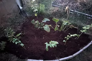 394 Parkway Dr, Troy, MO 63379 - Photo 34