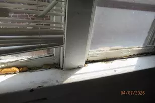 311 Eichelberger St, Saint Louis, MO 63111 - Photo 34