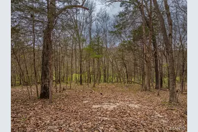 2903 Valley View Drive, Innsbrook, MO 63390 - Photo 1