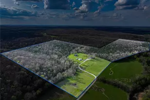 5855 SE 981 Pvt Rd, Collins, MO 64738 - Photo 52