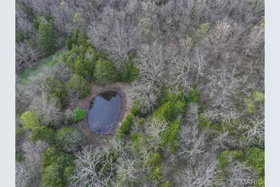 5855 SE 981 Pvt Rd, Collins, MO 64738 - Photo 20