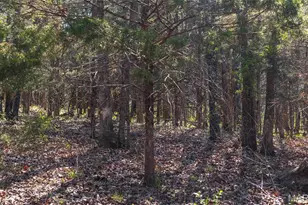 3773 Blocks Branch Rd, Robertsville, MO 65066 - Photo 74