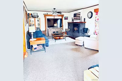 733 Lake Drive, Herculaneum, MO 63048 - Photo 28