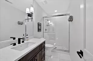 209 N Bemiston Ave, Saint Louis, MO 63105 - Photo 32