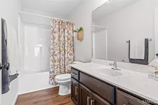 228 Red Maple Ct, Hillsboro, MO 63050 - Photo 66