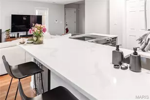 445 Clara Ave, Saint Louis, MO 63112 - Photo 14