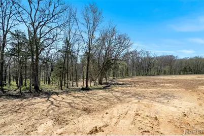 308 Schaper Estates Xing, Foristell, MO 63348 - Photo 46