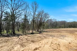 308 Schaper Estates Crossing, Foristell, MO 63348 - Photo 40