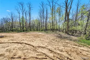 300 Schaper Estates Crossing, Foristell, MO 63348 - Photo 40