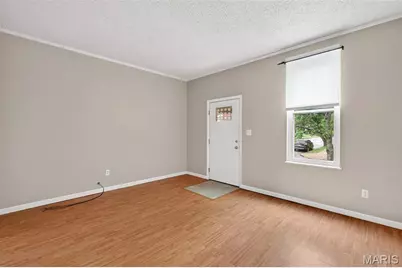 4747 Milentz Avenue, Saint Louis, MO 63116 - Photo 12