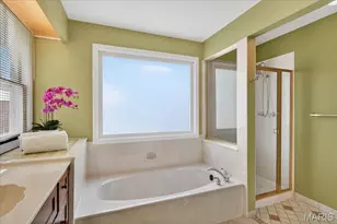 1347 Cherry Glen Ct, Chesterfield, MO 63017 - Photo 22