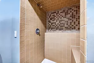 26 Madre Ct, Foristell, MO 63348 - Photo 62