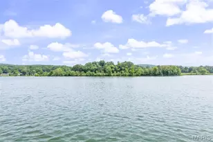 1122 Werner Lake Dr, Bloomsdale, MO 63627 - Photo 46