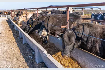 3292 South 107th Road, Washington, MO 65650 - Photo 62