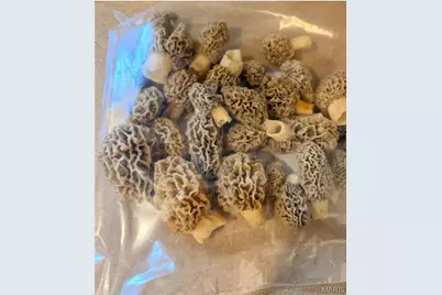 26253 State Highway 6, Maplewood, MO 63454 - Photo 52