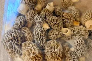 26253 State Hwy 6, Maplewood, MO 63454 - Photo 52