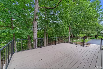1308 Amherst Terrace Way, Saint Louis, MO 63017 - Photo 36
