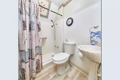403 N Main Street, Louisiana, MO 63353 - Photo 72