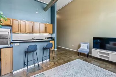 1720 Chouteau Avenue #103, Saint Louis, MO 63103 - Photo 14