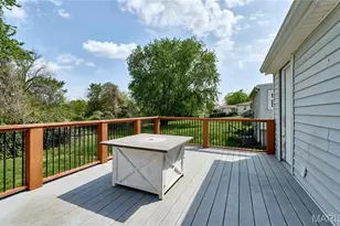 125 Lithia Ave, Webster Groves, MO 63119 - Photo 26