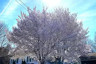 308 Royal Ave, Ferguson, MO 63135 - Photo 40