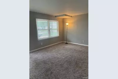 9836 Lorna Lane, Saint Louis, MO 63136 - Photo 2