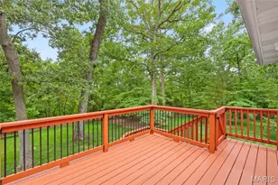14 Carriage Hills Ct, Cedar Hill, MO 63016 - Photo 4