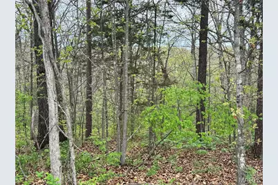 30738 N Stringtown Road, Foristell, MO 63348 - Photo 2