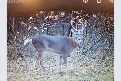 4710 Pike 451, Curryville, MO 63339 - Photo 34