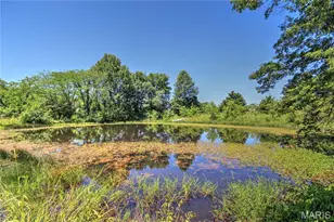 4710 Pike 451, Curryville, MO 63339 - Photo 28