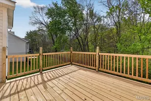 150 Silverstone Cir, Byrnes Mill, MO 63051 - Photo 28