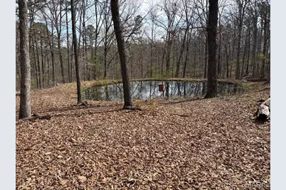 0000 W State Highway 8, Potosi, MO 63664 - Photo 2