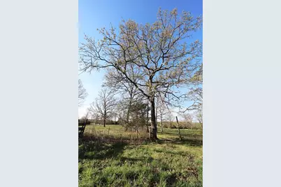 Tract 1 State Hwy Dd, Glendale, MO 63655 - Photo 24