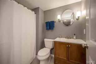 46 Heritage Pointe Cir, Fenton, MO 63026 - Photo 60
