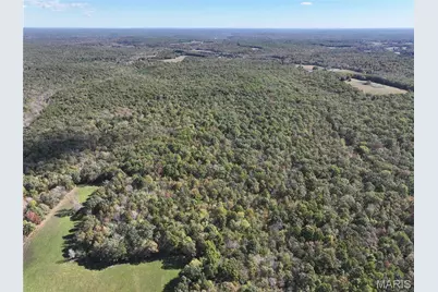 Tract 3 State Hwy Dd, Glendale, MO 63655 - Photo 4