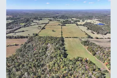 Tract 3 State Hwy Dd, Glendale, MO 63655 - Photo 6