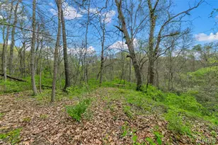 250 Quindaro Dr, Florissant, MO 63034 - Photo 46