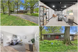 848 Cordova St, Saint Louis, MO 63138 - Photo 1