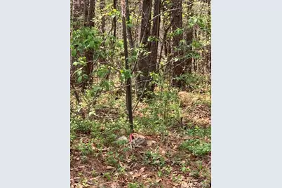 0 County Rd 229, Fredericktown, MO 63645 - Photo 10
