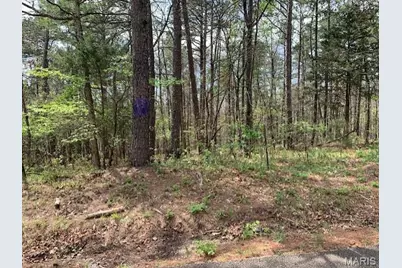 0 County Rd 229, Fredericktown, MO 63645 - Photo 8