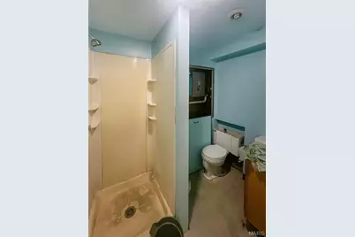 3025 Mount Pleasant Street, Saint Louis, MO 63111 - Photo 10