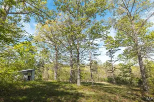 11090 Hwy K, Jadwin, MO 65501 - Photo 42