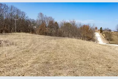 00 Pike 41, Bowling Green, MO 63334 - Photo 2