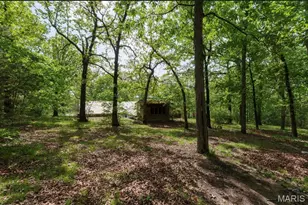 16 Monte Rosa Dr, De Soto, MO 63020 - Photo 34