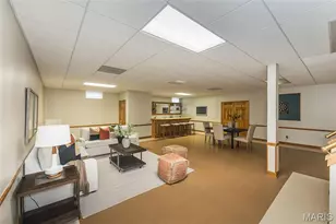 78 Lower Dardenne Farms Dr, Cottleville, MO 63304 - Photo 40