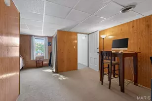 3131 Ohio Ave, Saint Louis, MO 63118 - Photo 32