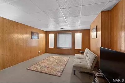 3131 Ohio Avenue, Saint Louis, MO 63118 - Photo 36