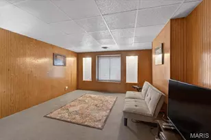 3131 Ohio Ave, Saint Louis, MO 63118 - Photo 36